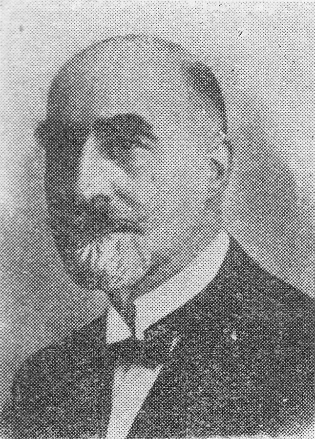 Evert Ludwik