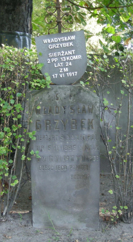 grzybek władysław